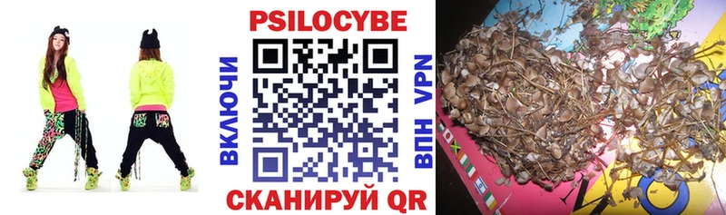 Галлюциногенные грибы Cubensis  хочу наркоту  Выкса 